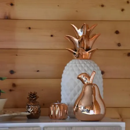 Daire Du Cheval Blanc D'houmont Sainte-Ode